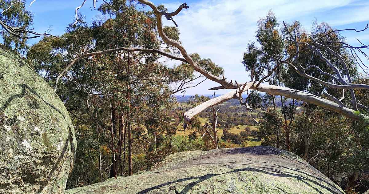 Black Hill Reserve Kyneton