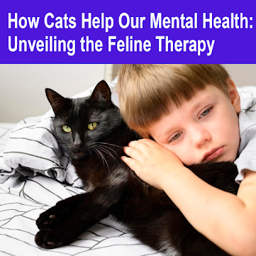 How Cats Help Our Mental Health: Unveiling the Feline Therapy