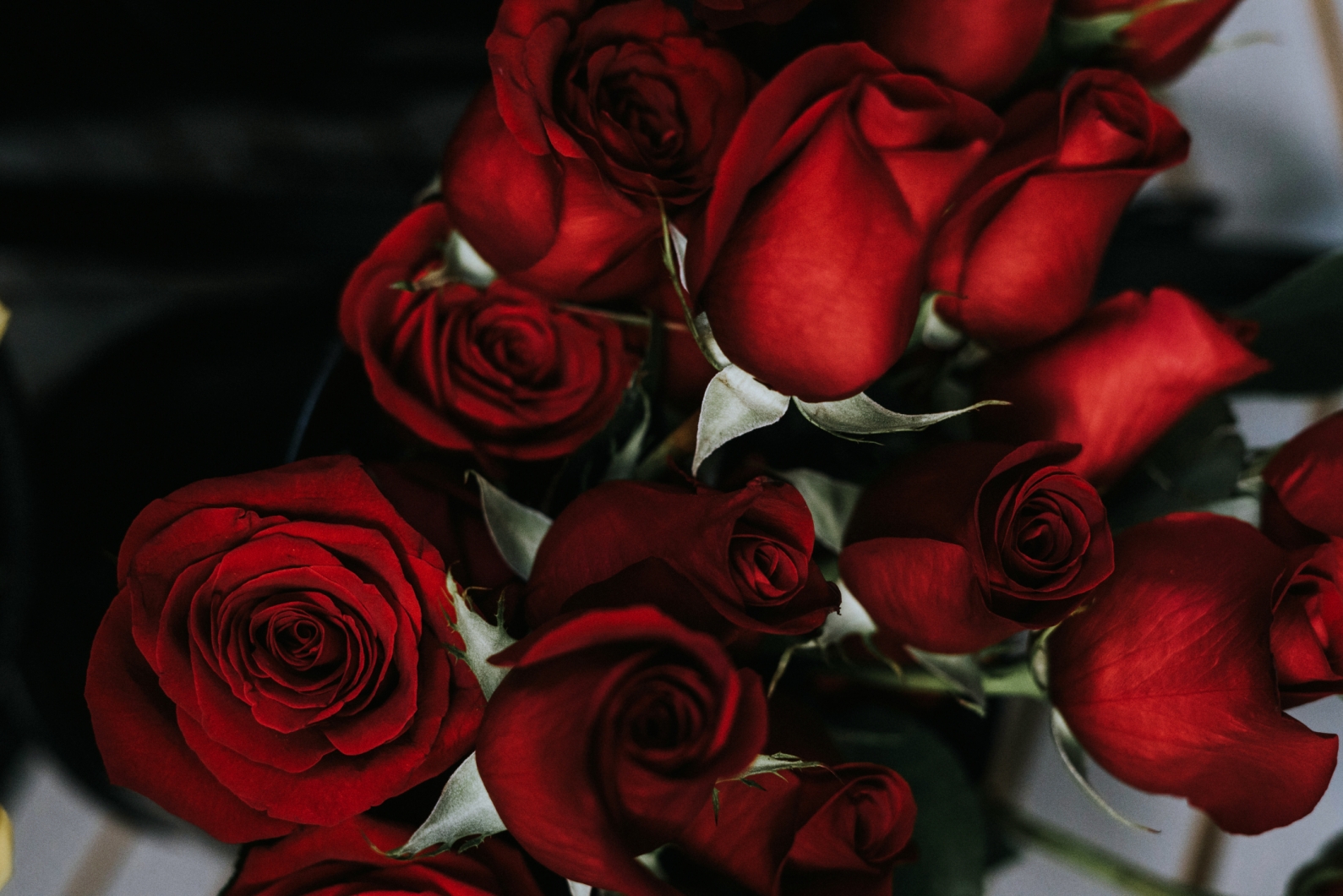 Valentine's Day Date Ideas To Do With Your Significant Other + Self-Love Tips.