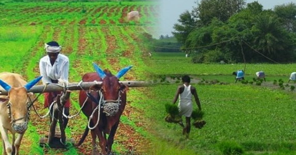 बळीराजाची उपेक्षा करू नका