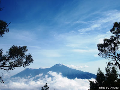 gunung panderman