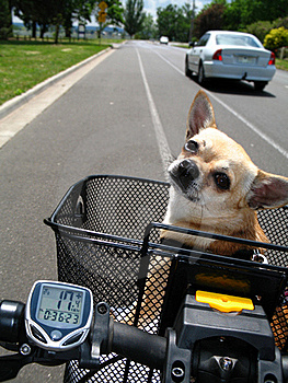 going for a ride