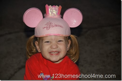 15 ways to ruin a trip to Disney World - magic kingdom