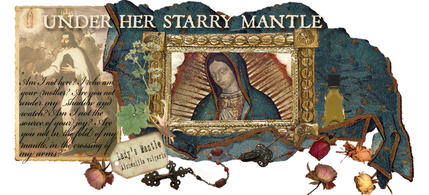 Under Her Starry Mantle