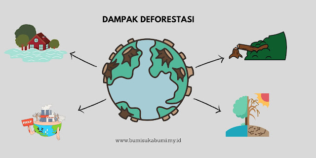 dampak deforestasi