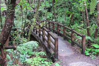 Fukugawa Waterfalls Fuu Falls