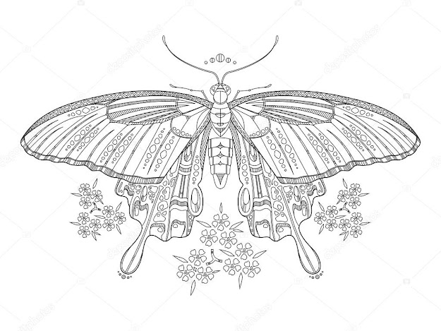 Butterfly Coloring Book For Adults Vector  Stock Illustration