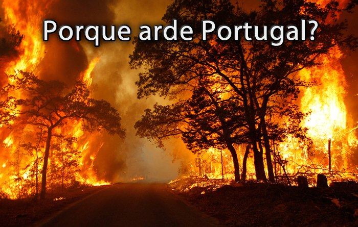 Porque arde Portugal ?