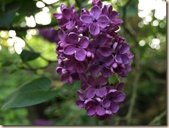 P5094488