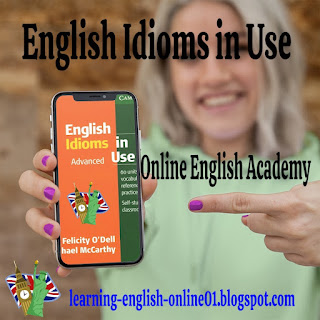 English Idioms in Use Advanced Book pdf