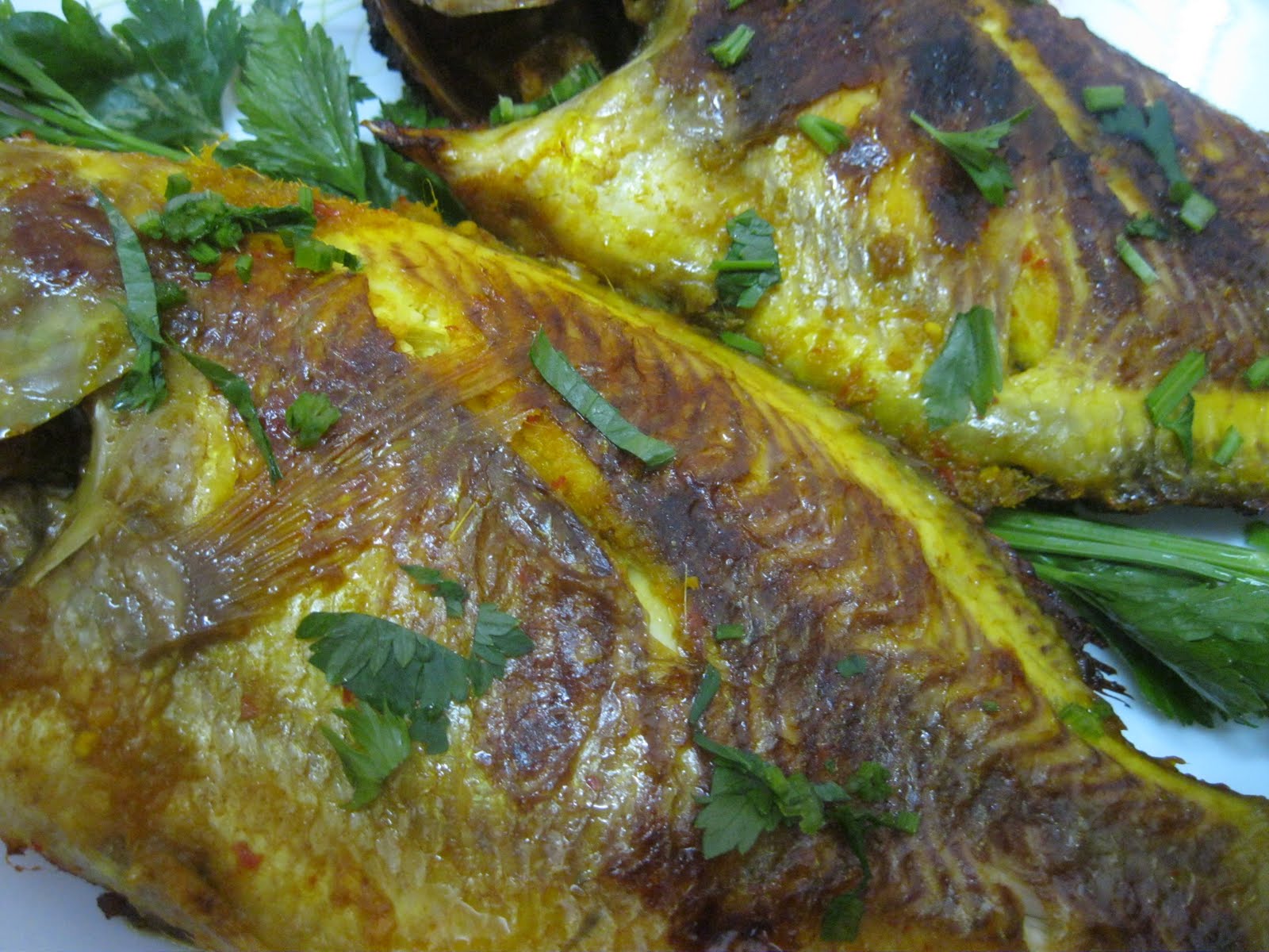 Dari Dapur Maklong: Ikan Tilapia Merah Bakar