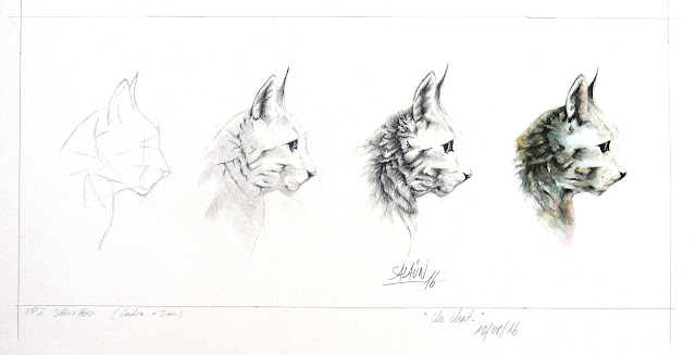 Aquarelle, graphite, chat, mickaël salaün 