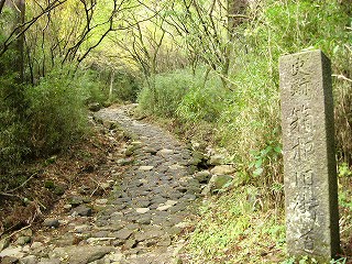 P1030148jpg