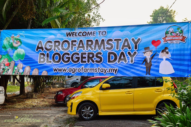 Pakej Perkahwinan Di Agrofarmstay @ Skill-Tech Durian Tunggal Melaka