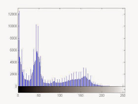 Left Shifted Histogram after the multiplication operation on the image
