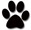 Paw Print
