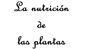 http://cplosangeles.juntaextremadura.net/web/edilim/tercer_ciclo/cmedio/las_plantas/la_nutricion_de_las_plantas/la_nutricion_de_las_plantas.html