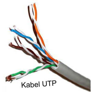 Pengertian dan fungsi Kabel UTP Cat 5 - Tutorial Komputer