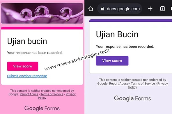 link ujian bucin docs google form online