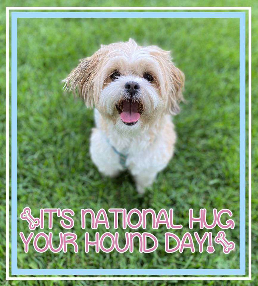 National Hug Your Dog Day Wishes pics free download