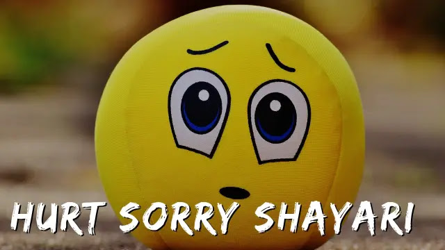 Hurt Sorry Shayari - Best 100 Hurt Sorry Shayari