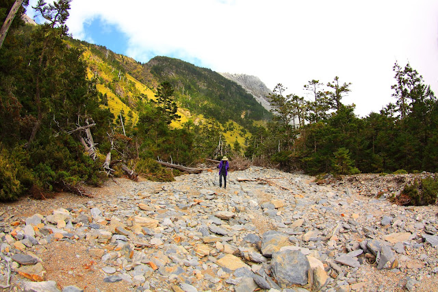 南湖大山群峰之馬比杉山之行