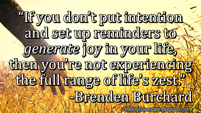 “If you don’t put intention and set up reminders to _generate_ joy in your life, then you’re not experiencing the full range of life’s zest.” -Brenden Burchard