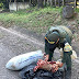 POLICÍA FISCAL Y ADUANERA APREHENDE 642 KILOS DE CARNE DE CONTRABANDO