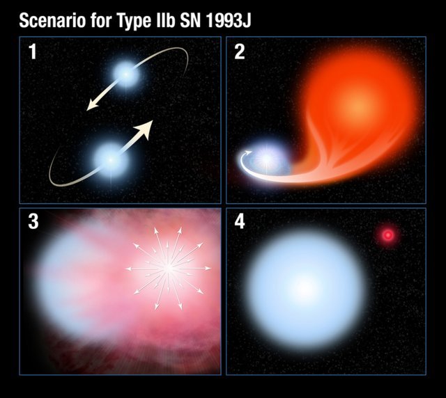 bintang-pengiring-yang-tersembunyi-selama-21-tahun-di-supernova-iib-informasi-astronomi