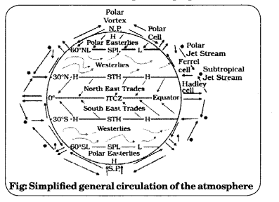 Solutions Class 11 Geography Chapter-10 Atmospheric Circulation and Weather Systems