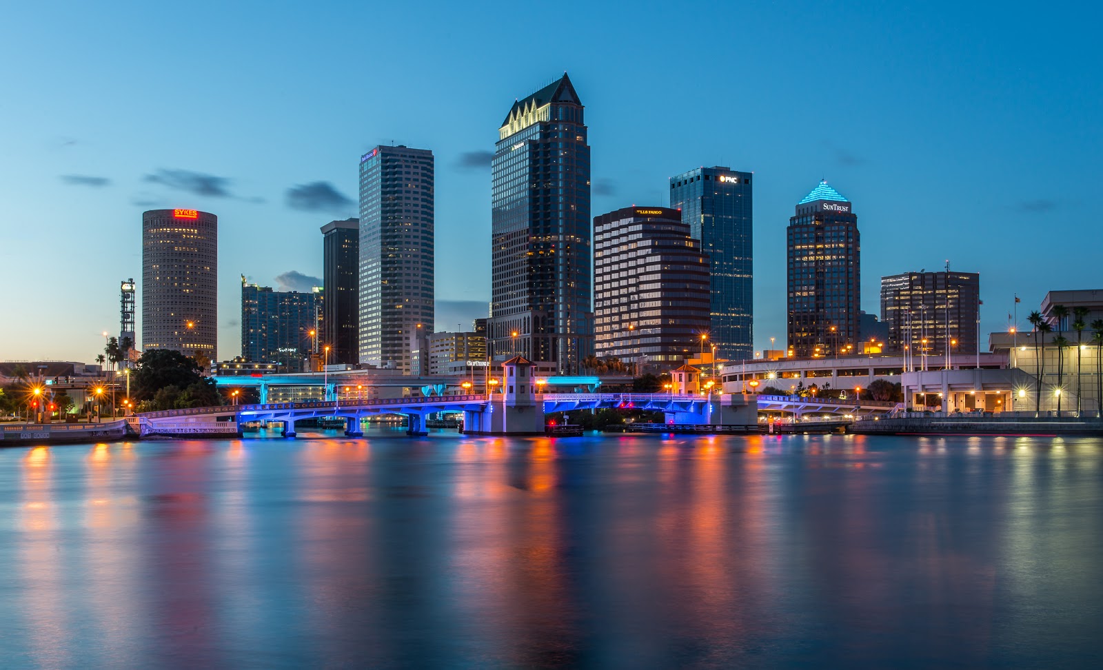 Lynn Wiezycki Photography Downtown  Tampa  Skyline