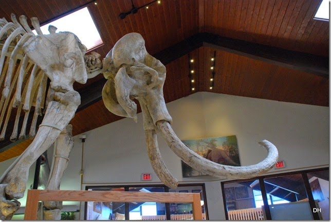 07-08-14 B Tate Geological Museum (9)