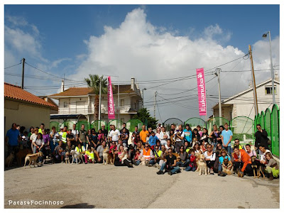 Dog trekking in Almada 2010