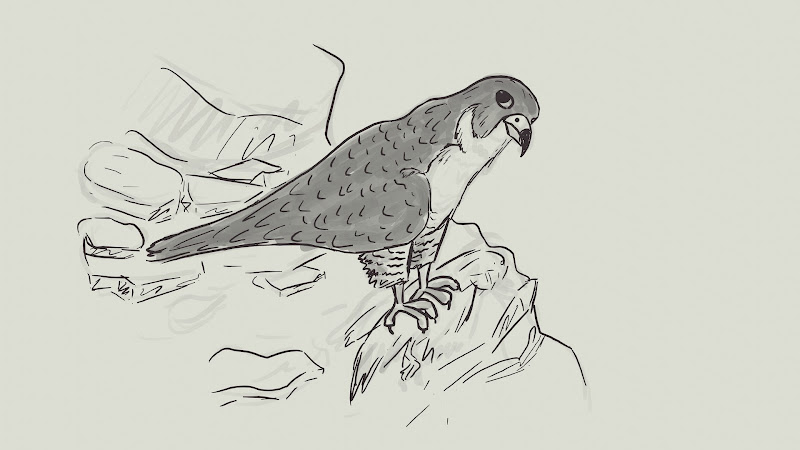 Falcon on a Cliff
