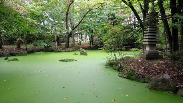 帯廣神社 緑の池 北海道