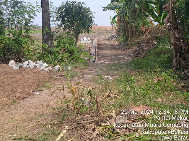 Diduga Pekerjaan Siluman, Proyek Pemasangan Paving Block Di Desa Pantai Mekar.