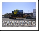 tren pampino llegada