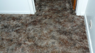 Cooper's Carpet Cleaning Mchenry Illinois