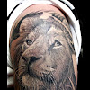 3D Lion Tattoo Designs : 95 3d Lion Tattoo Design Png Jpg 2021 : You should always choose a design that catches your eye although you should put some meaning behind it in order to get a meaningful body art design made for you.