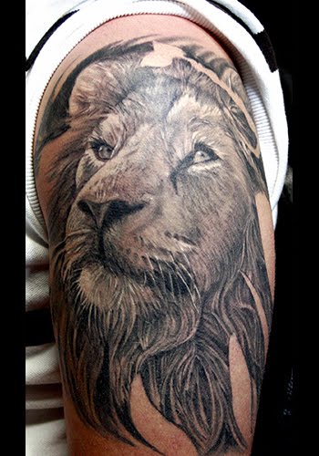 3D Lion Tattoo Designs : 95 3d Lion Tattoo Design Png Jpg 2021 : You should always choose a design that catches your eye although you should put some meaning behind it in order to get a meaningful body art design made for you.