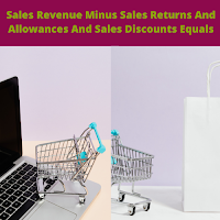 Sales Revenue Equals To What