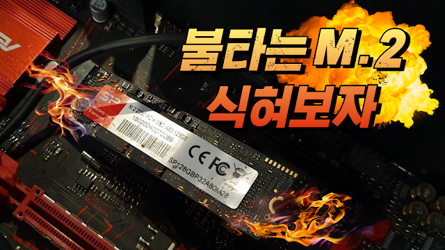 M.2 SSD 온도를 잡아보자!