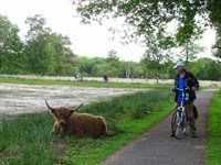 IMG_9641