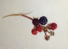 Blackberries watercolour painted on kelmscot vellum