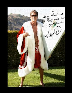 the Hoff is the best