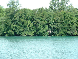 Le lac est entouré d'arbres