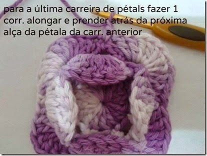 rosa v
