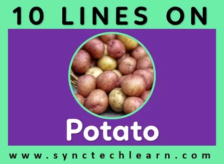 10 lines on Potato in English