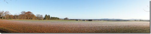 DSC01950