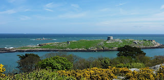 Dalkey Island as viewed from Sorrento Park.